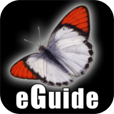 Butterfly_eGuide