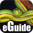 snakes_app