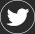 twitter-icon